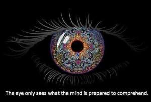 1476331_591869214202260_1432167128_n